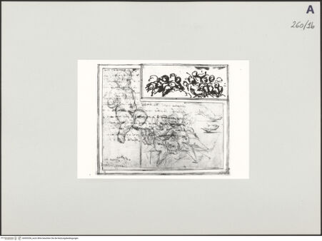 Vorderseite von bh503356_recto