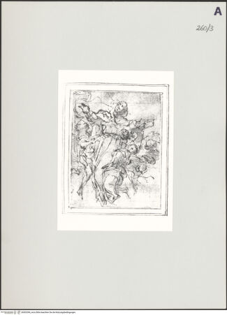 Vorderseite von bh503396_recto