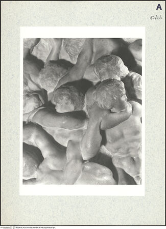 Vorderseite von bh503655_recto