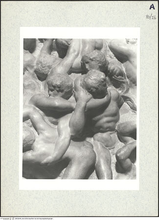 Vorderseite von bh503656_recto