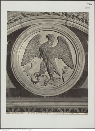 Vorderseite von bh503761_recto