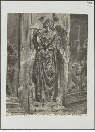 Vorderseite von bh503775_recto