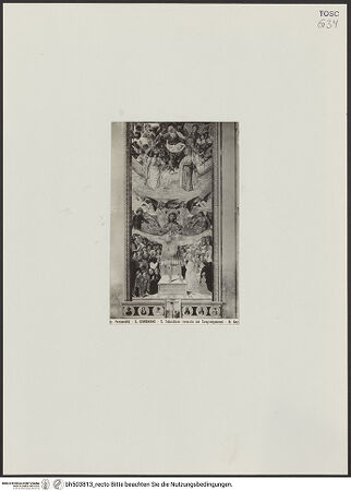 Vorderseite von bh503813_recto