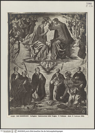 Vorderseite von bh503845_recto