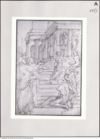 Vorderseite von bh503852_recto