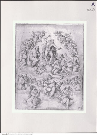 Vorderseite von bh503864_recto