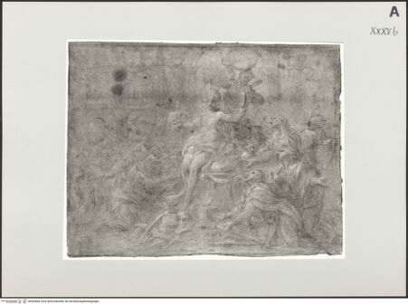 Vorderseite von bh503869_recto