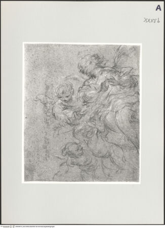 Vorderseite von bh503870_recto