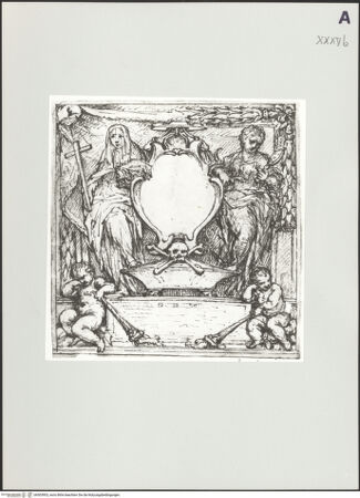 Vorderseite von bh503903_recto