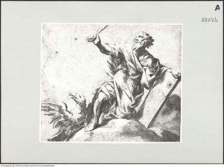 Vorderseite von bh503910_recto