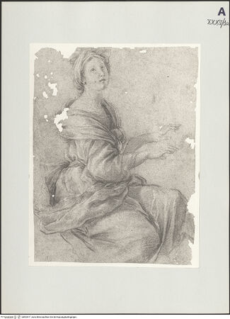 Vorderseite von bh503917_recto