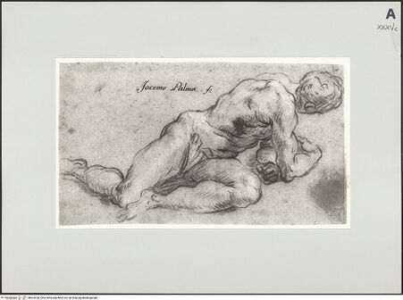 Vorderseite von bh503920_recto