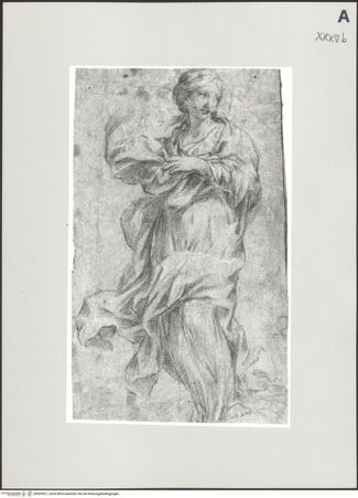 Vorderseite von bh503921_recto