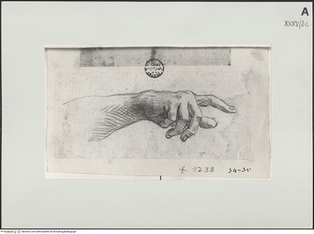 Vorderseite von bh503932_recto