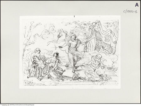 Vorderseite von bh503939_recto