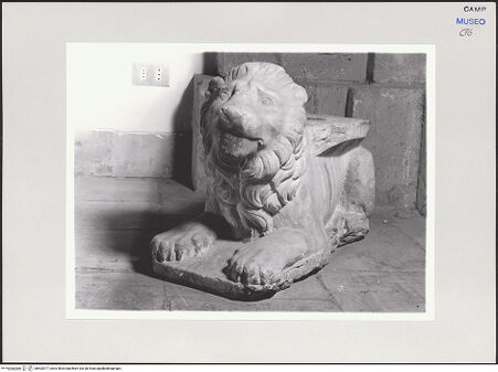 Vorderseite von Pedicini, Luciano [https://www.deutsche-digitale-bibliothek.de/content/lizenzen/rv-fz/] Zwei Löwen - Löwe, bh503977_recto. Foto: Pedicini, Luciano.