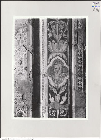 Vorderseite von Pedicini, Luciano [https://www.deutsche-digitale-bibliothek.de/content/lizenzen/rv-ez/] Dekoration der Fensterlaibungen - Dekorationen eines Langhausfensters, Ausschnitt, bh503980_recto. Foto: Pedicini, Luciano.