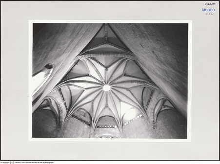 Vorderseite von Pedicini, Luciano [https://www.deutsche-digitale-bibliothek.de/content/lizenzen/rv-ez/] Castel NuovoSala dei Baroni - Gewölbe, bh504012_recto. Foto: Pedicini, Luciano.