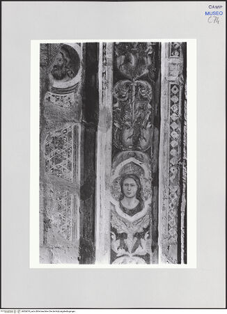 Vorderseite von Pedicini, Luciano [https://www.deutsche-digitale-bibliothek.de/content/lizenzen/rv-ez/] Dekoration der Fensterlaibungen - Dekorationen des rechten(?) Apsisfensters, Ausschnitt, bh504019_recto. Foto: Pedicini, Luciano.