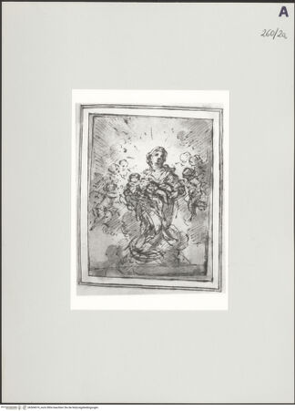 Vorderseite von bh504074_recto