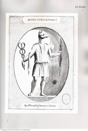 Vorderseite von Istituto Nazionale per la Grafica [http://creativecommons.org/publicdomain/mark/1.0/] Anubis Cynocephalus - , bh504105. Foto.