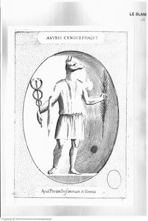 Vorderseite von bh504105x