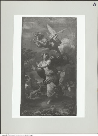 Vorderseite von bh504152_recto