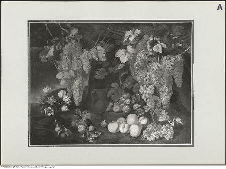 Vorderseite von bh504159_recto