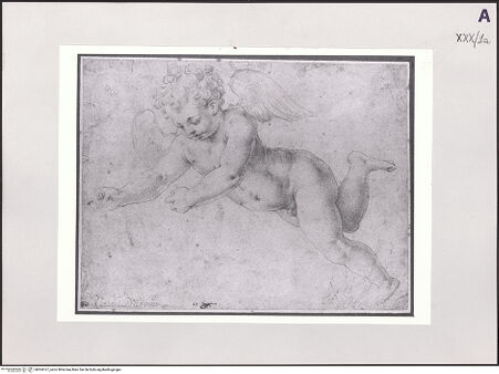 Vorderseite von bh504167_recto