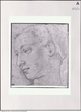 Vorderseite von bh504173_recto