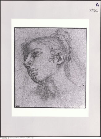 Vorderseite von bh504174_recto