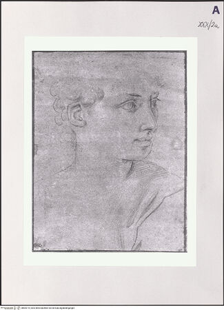 Vorderseite von bh504175_recto