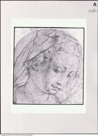 Vorderseite von bh504176_recto