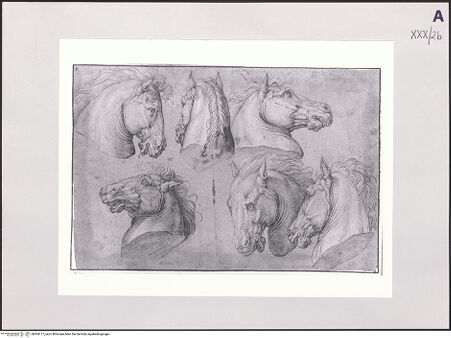 Vorderseite von bh504177_recto