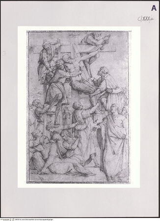 Vorderseite von bh504193_recto