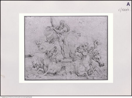 Vorderseite von bh504195_recto