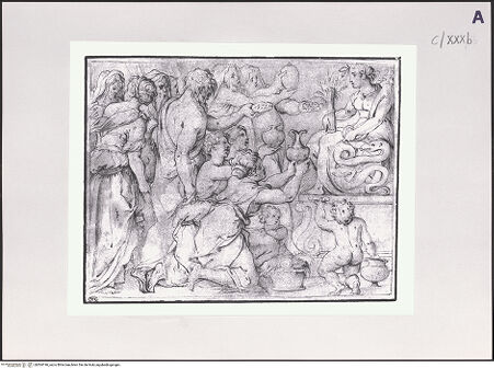 Vorderseite von bh504196_recto