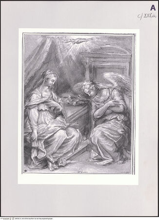 Vorderseite von bh504213_recto