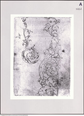 Vorderseite von Réunion des Musées Nationaux [https://www.deutsche-digitale-bibliothek.de/content/lizenzen/rv-ez/] Studie für Akanthusranken - , bh504216_recto. Foto.