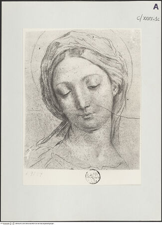 Vorderseite von bh504249_recto