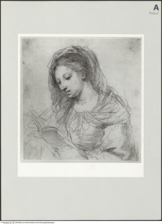 Vorderseite von bh504256_recto