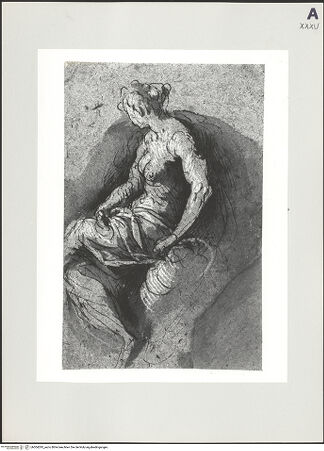 Vorderseite von bh504295_recto