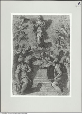 Vorderseite von bh504296_recto