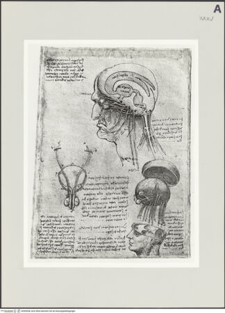 Vorderseite von bh504308_recto