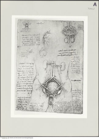 Vorderseite von bh504309_recto