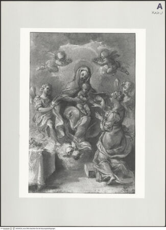 Vorderseite von bh504324_recto