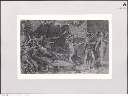 Vorderseite von bh504329_recto