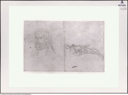 Vorderseite von bh504470_recto