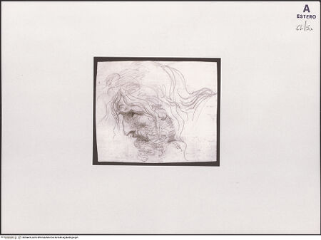 Vorderseite von bh504476_recto