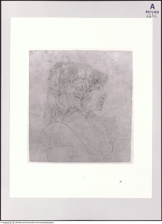 Vorderseite von bh504495_recto